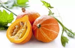 China Pumpkin Extract/Pumpkin Seed Extract Powder 4: 1 for Food Supplement  - China Pumpkin Seed, Cushaw Seed Extract