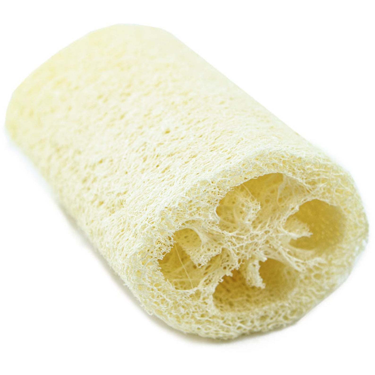 Luffa.jpg