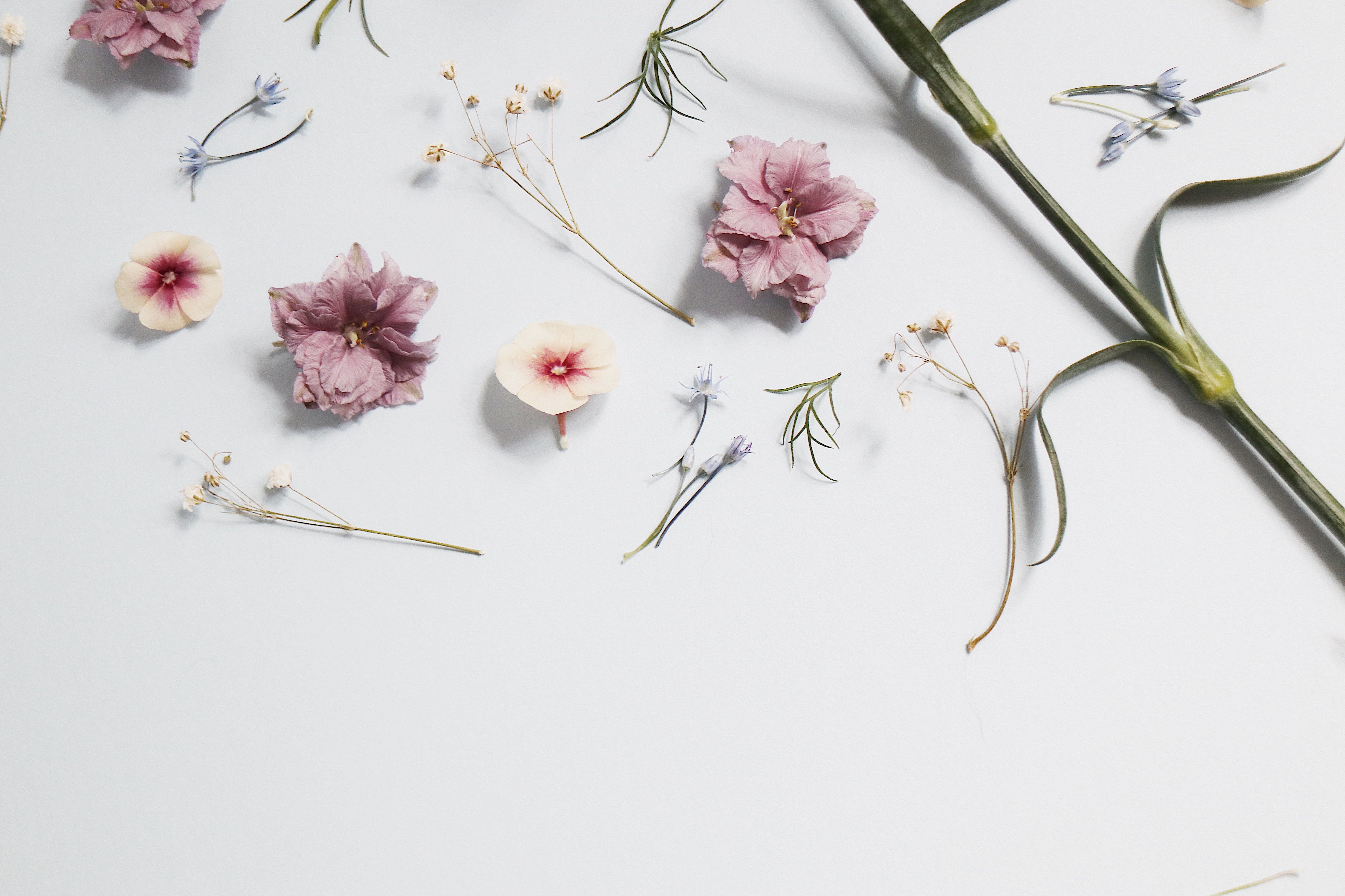 popsiclearts | Sign Up for 32% OFF on Our First Floral Printed Collection