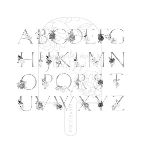 alphabet arranged silver.jpg
