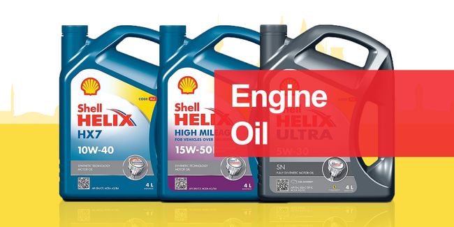 shell | Featured Collection - 