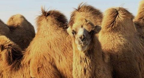 B4F08BFA-949A-4E75-8D7D-DD87D2B538FB