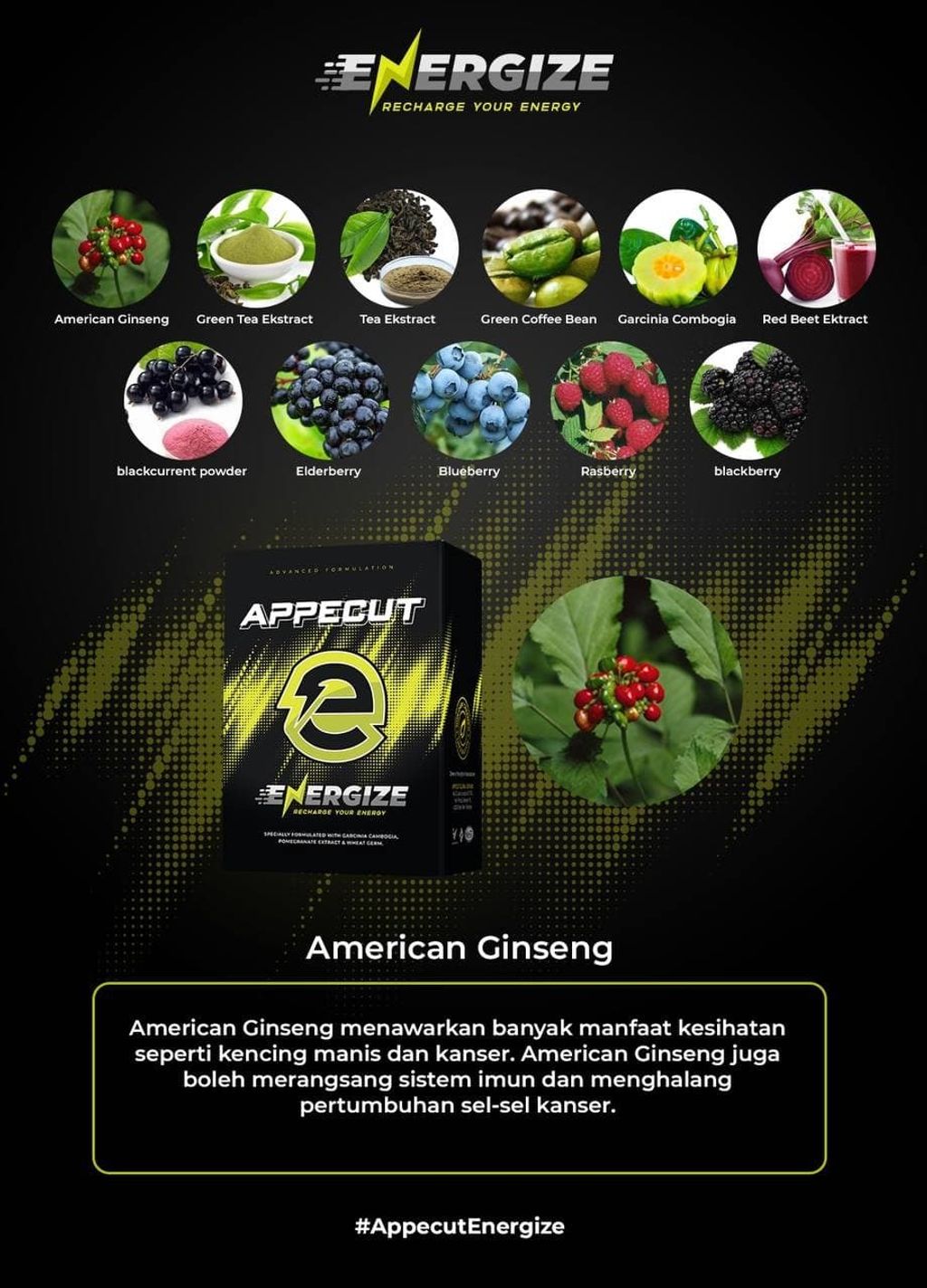 American Ginseng.jpg
