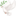 🕊️