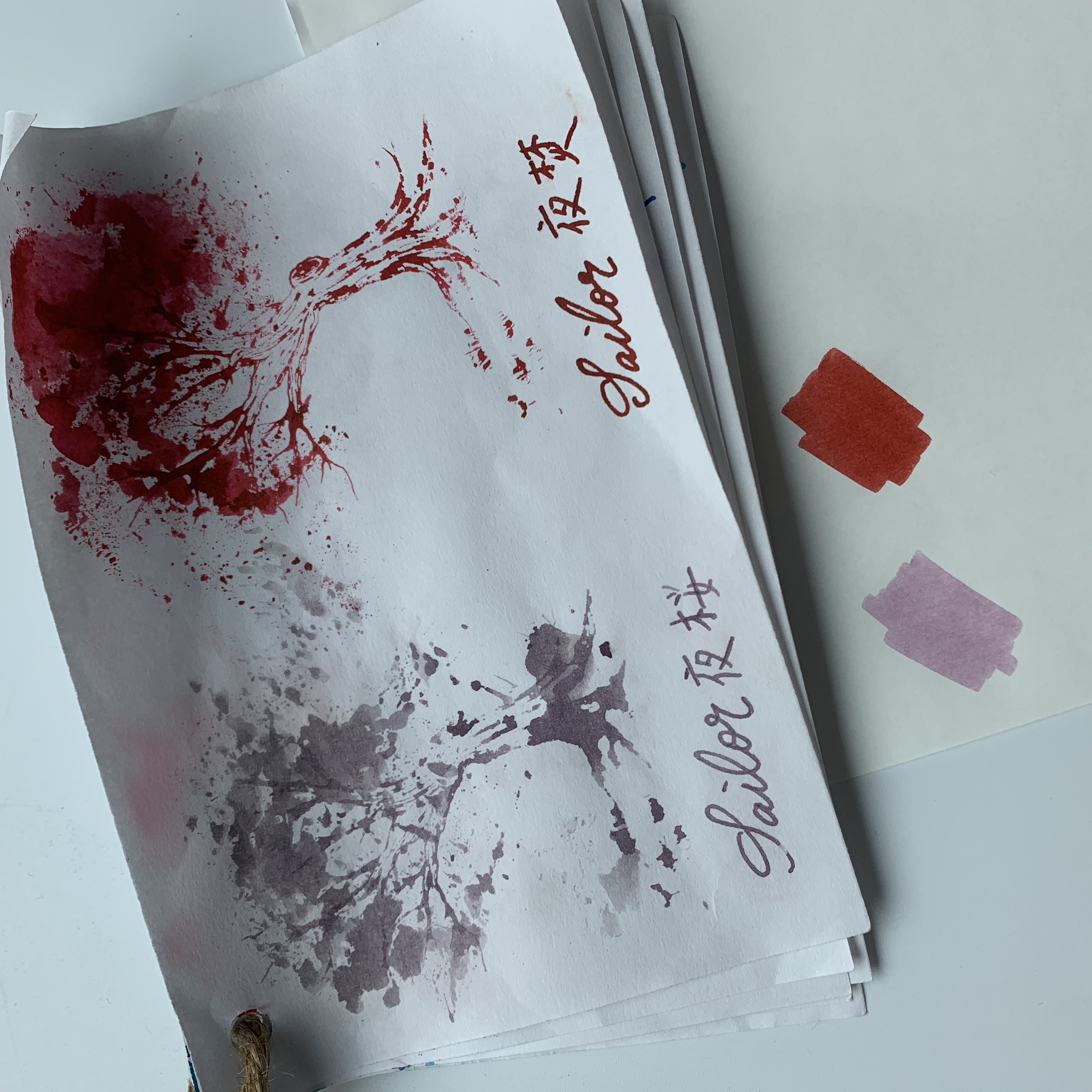 2C249391-9D86-49A8-8B5D-331EC0DB5F68.jpeg 2C249391-9D86-49A8-8B5D-331EC0DB5F68.jpeg