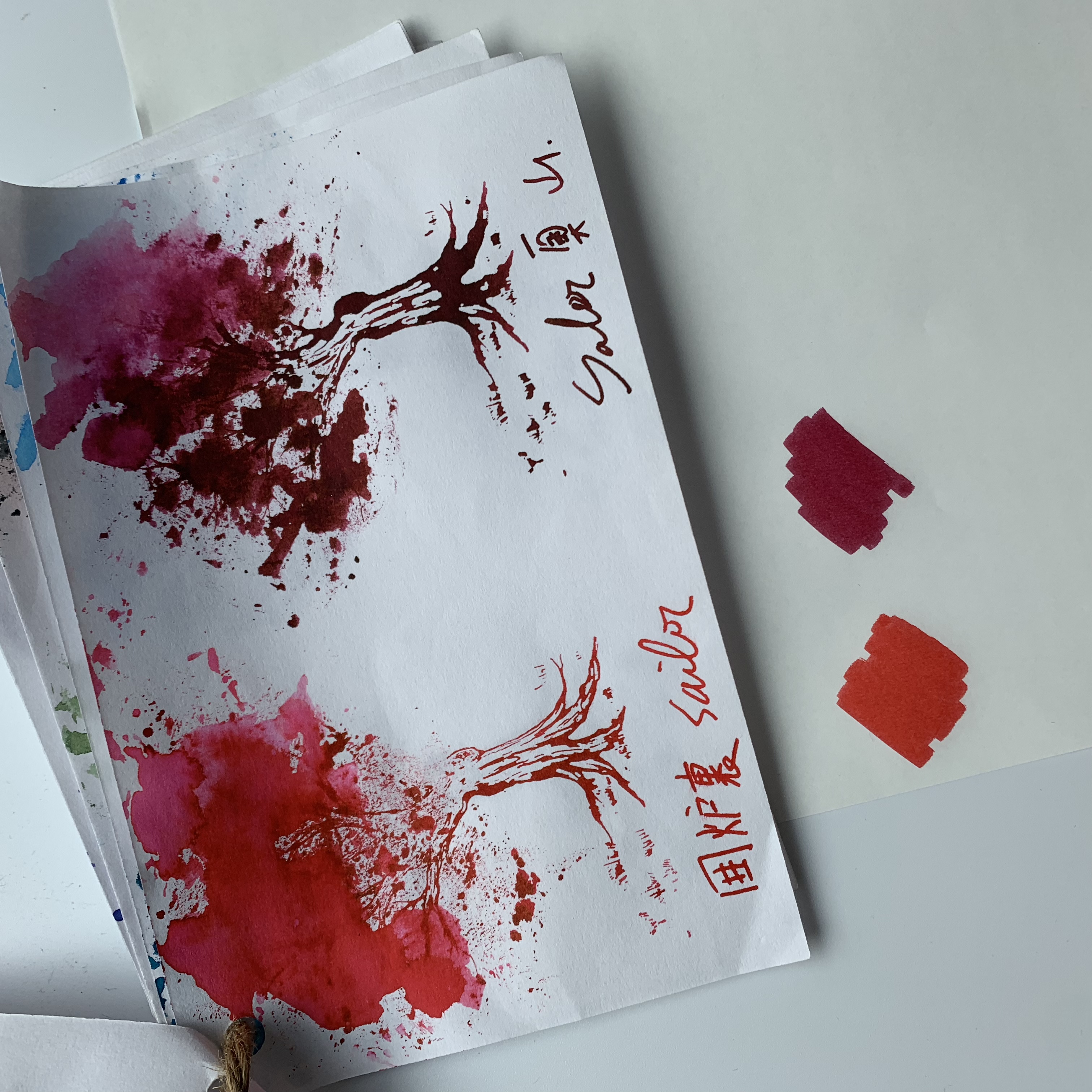 AC4227FF-995B-42F0-812F-042662C8C69F.jpeg AC4227FF-995B-42F0-812F-042662C8C69F.jpeg