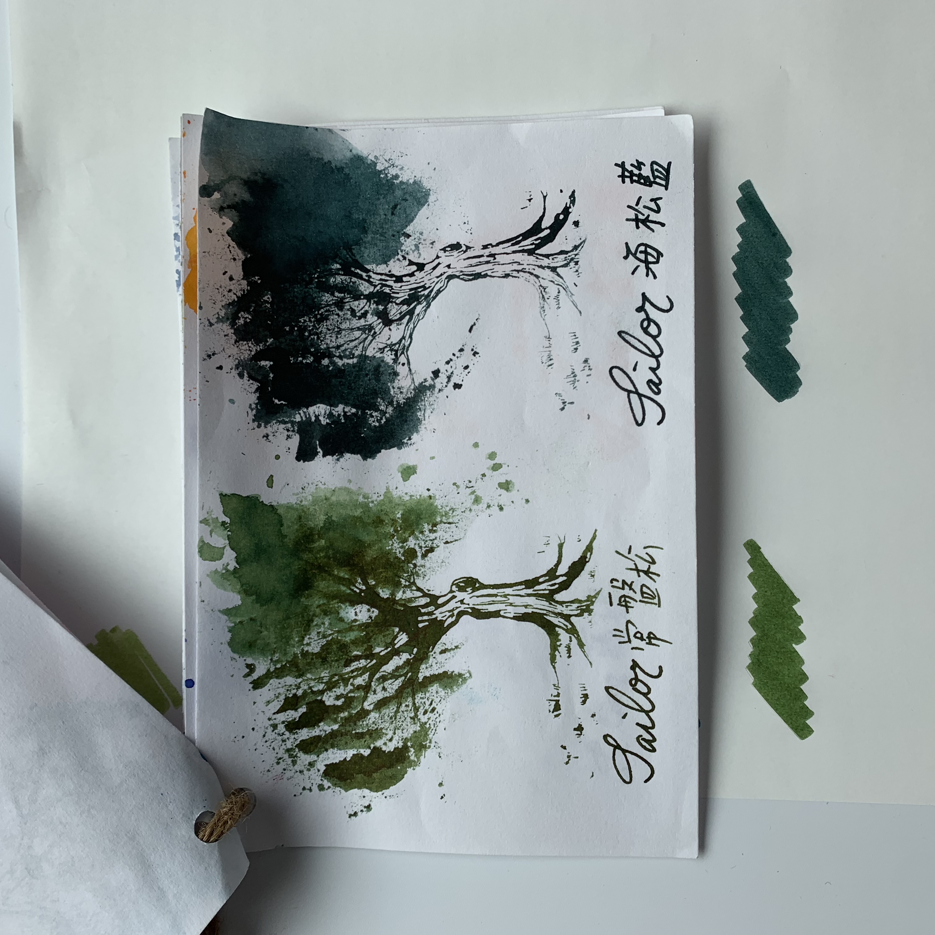 3B63BE41-0CE7-45A2-B2F0-72EF4FAA5458.jpeg 3B63BE41-0CE7-45A2-B2F0-72EF4FAA5458.jpeg