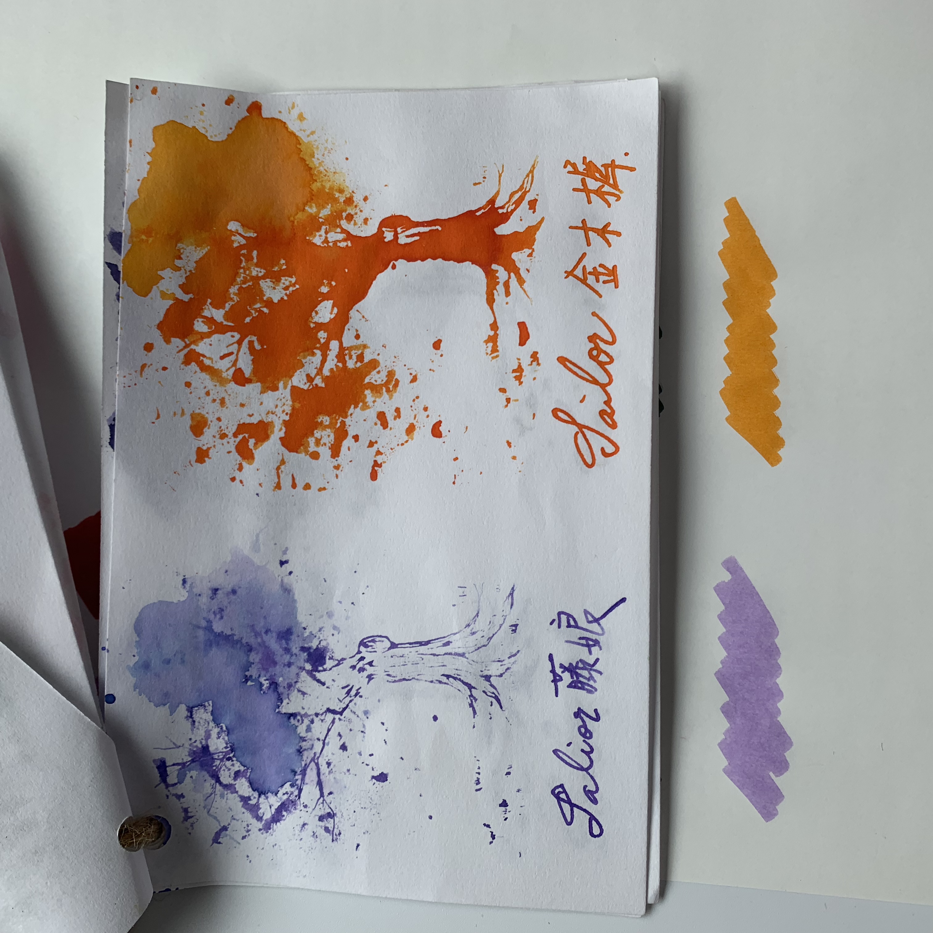 2A447F52-2F03-4E60-BC15-66D365476964.jpeg 2A447F52-2F03-4E60-BC15-66D365476964.jpeg