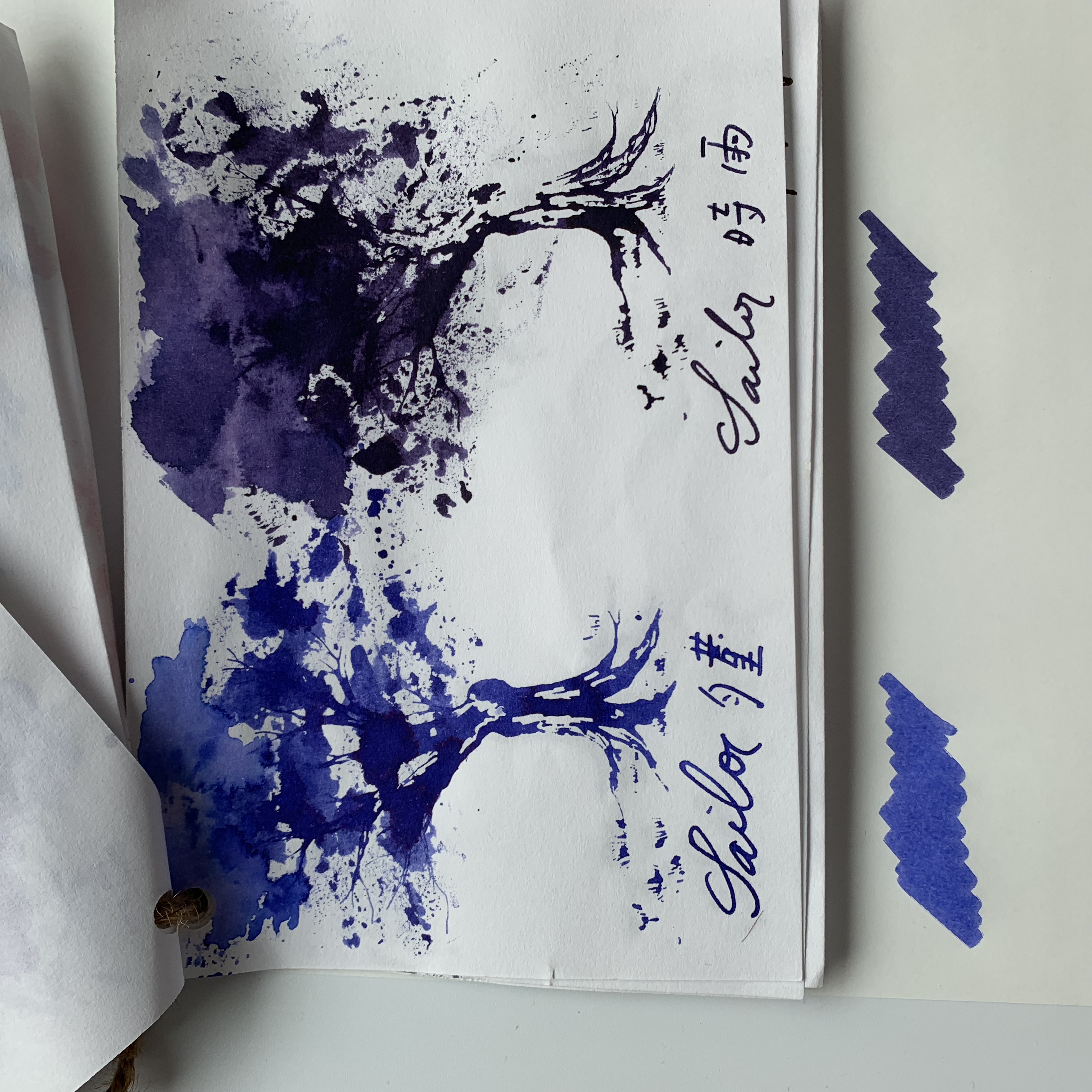 BC8BCB33-0AF4-4288-8456-C04D8EED7C6E.jpeg BC8BCB33-0AF4-4288-8456-C04D8EED7C6E.jpeg