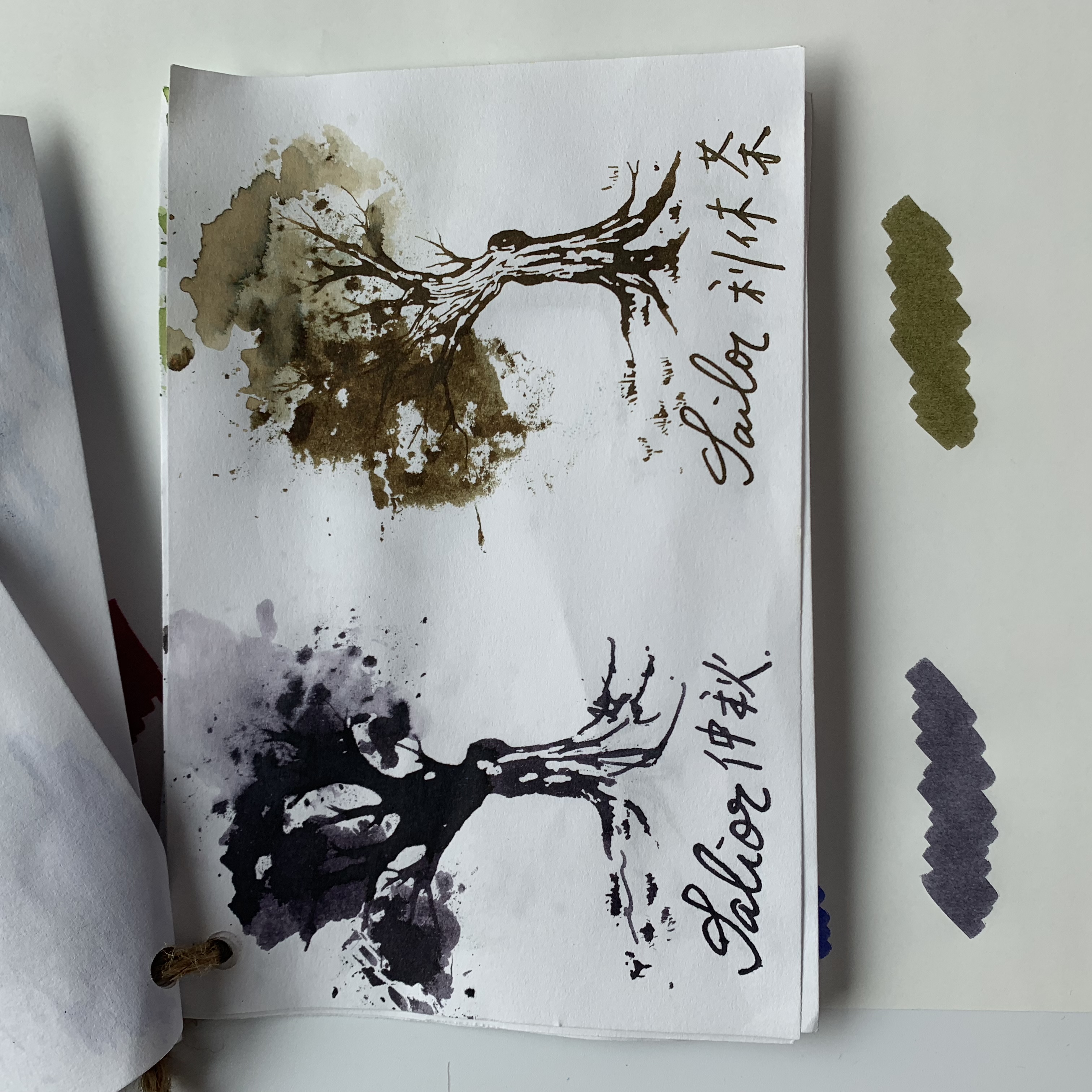 6FDACB35-786C-4C43-A99A-F16EDDA56914.jpeg 6FDACB35-786C-4C43-A99A-F16EDDA56914.jpeg