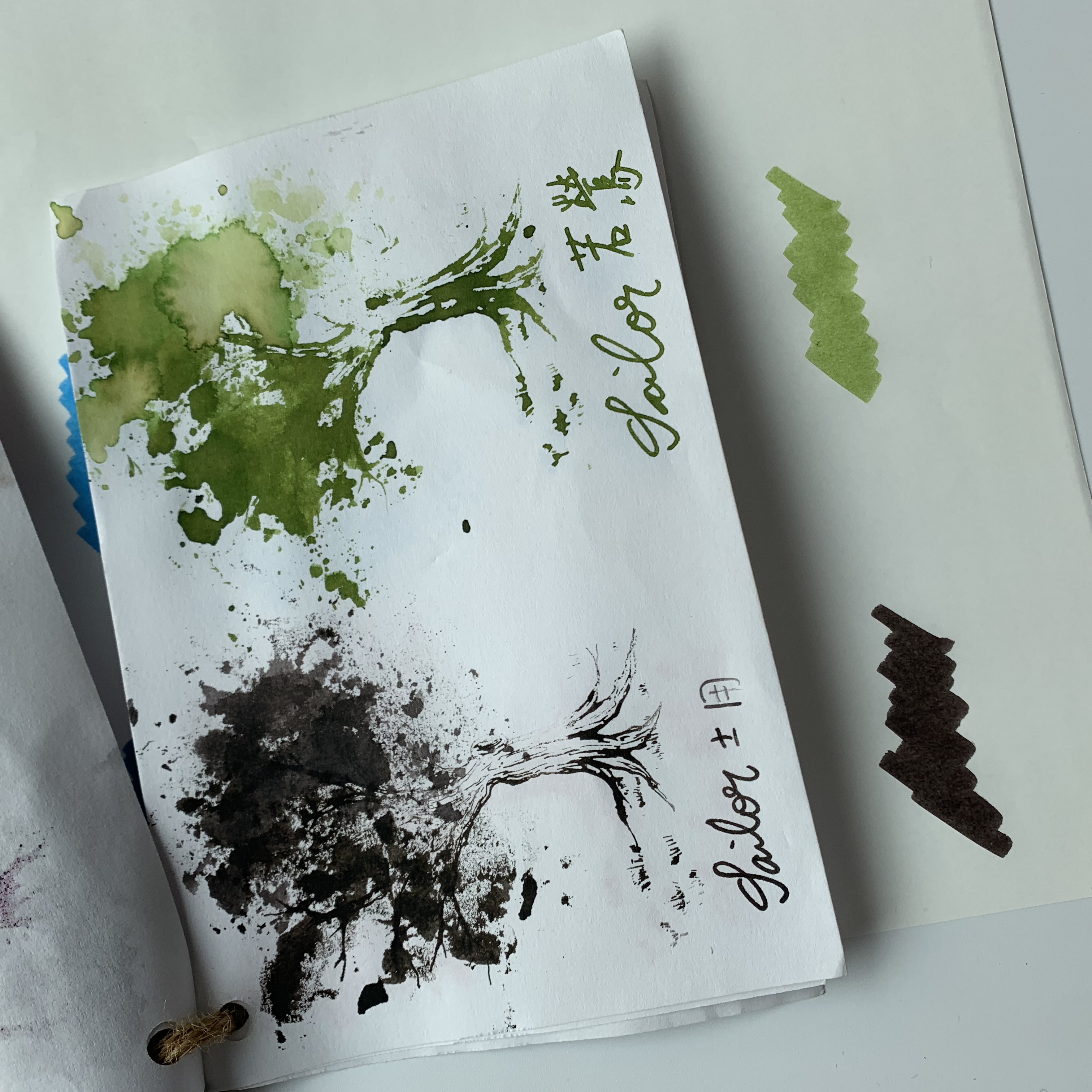 E04660A5-41E2-4599-97C7-CFFE0497405D.jpeg E04660A5-41E2-4599-97C7-CFFE0497405D.jpeg