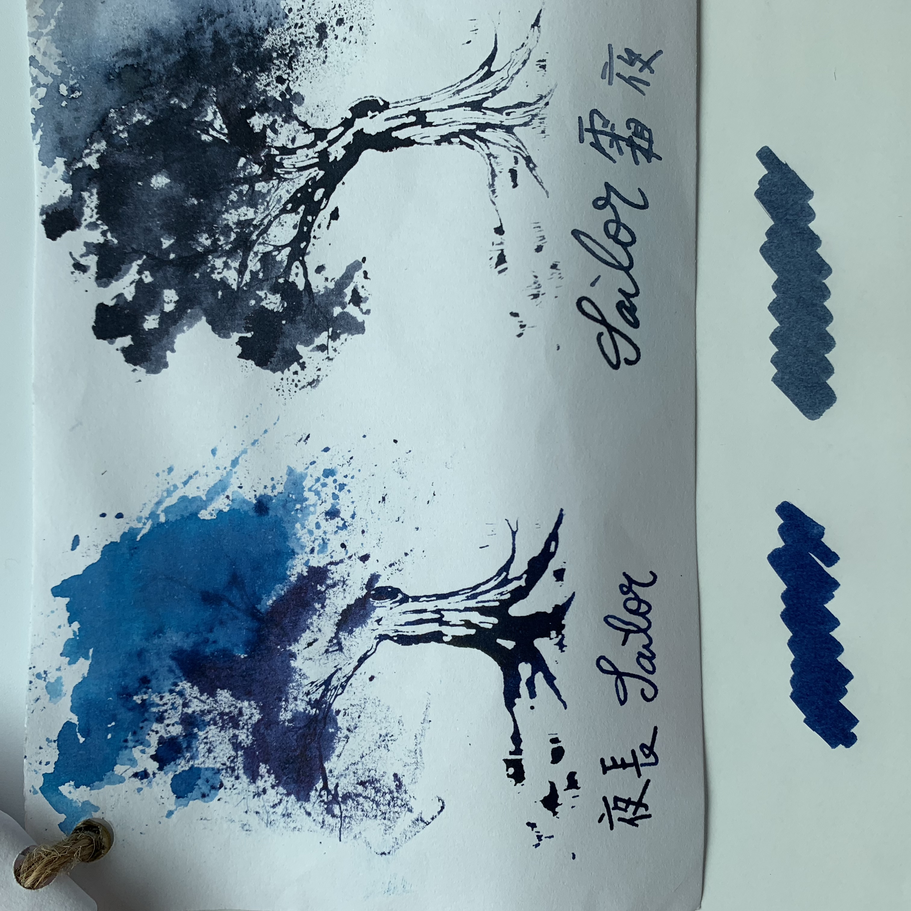 B4124A27-3FF2-4E0C-BF52-EFBA0EA08A99.jpeg B4124A27-3FF2-4E0C-BF52-EFBA0EA08A99.jpeg