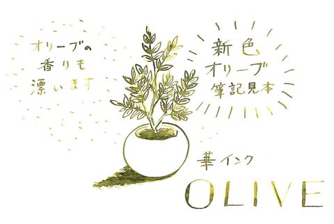 oliveinkmihon