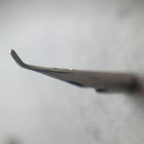 372080129_696319115858517_9020230719051512471_n