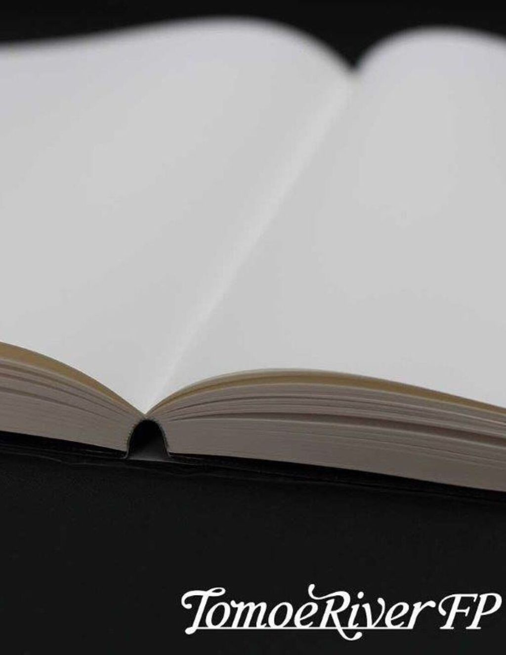 a5-tomoe-river-fp-52gsm-notebook-368-pages-plain (2)