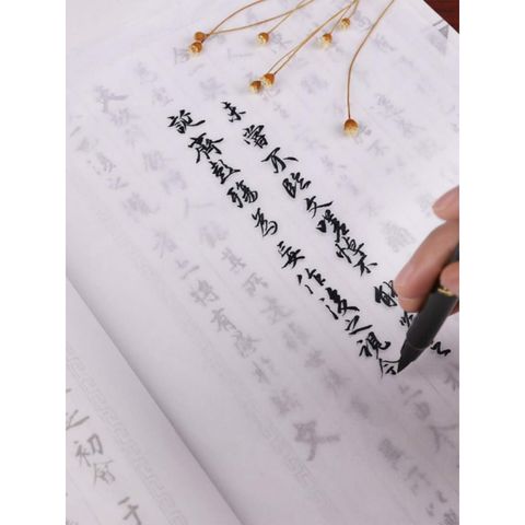 tw-11134207-7r98s-lngujtubtxkp28