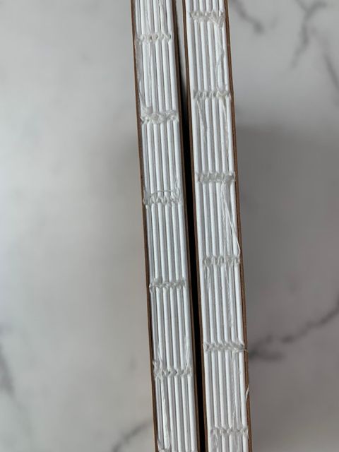 434115893_821037220053372_7094076397485749558_n