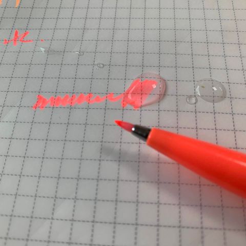 464596995_973141144842978_4637099587813332297_n