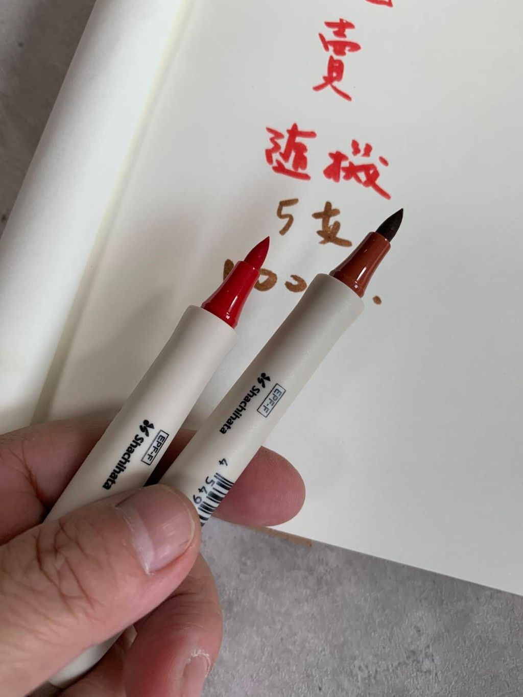 518322077_1170709555086135_8639470046502529794_n