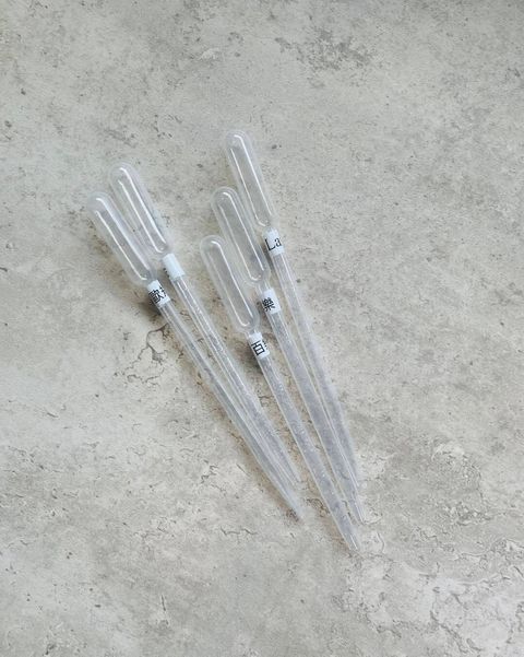 573599642_1265571418933281_1253135142229882839_n