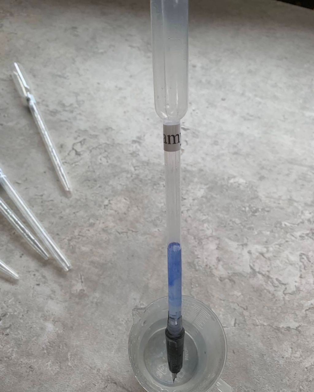 571181513_1265571415599948_2762552310250900609_n