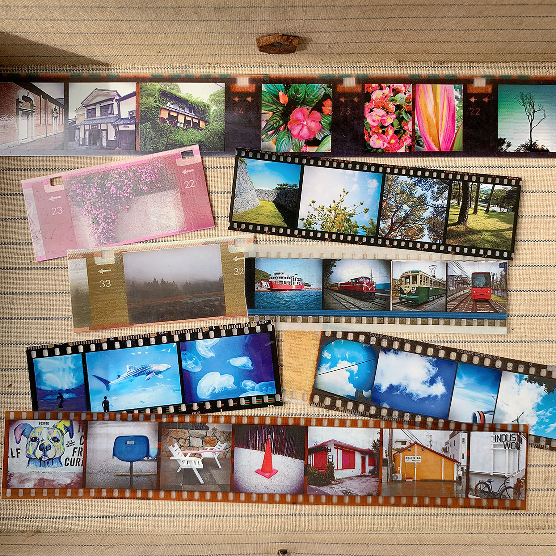 timeflies_splendid3.jpg timeflies_splendid3.jpg