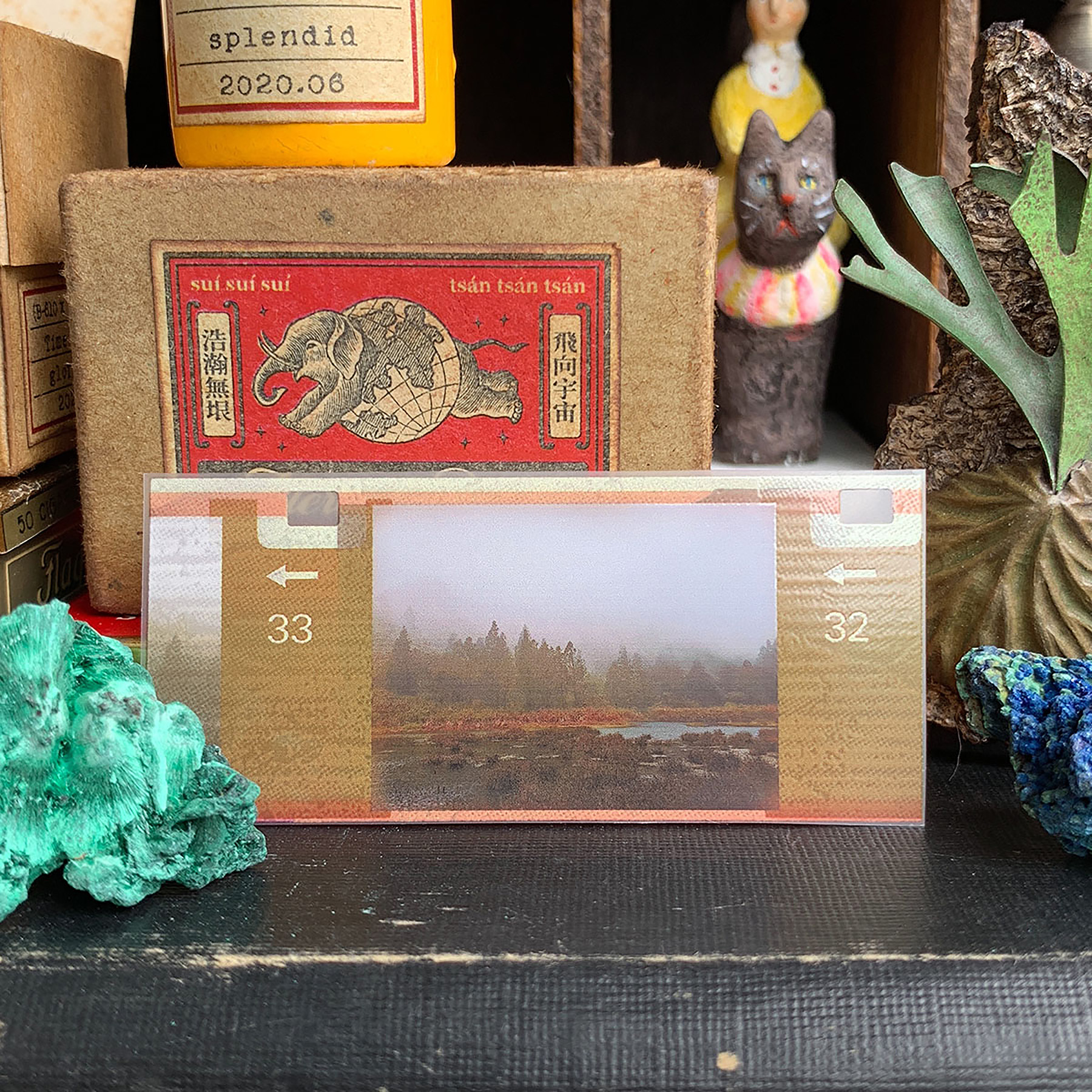 timeflies_splendid4.jpg timeflies_splendid4.jpg