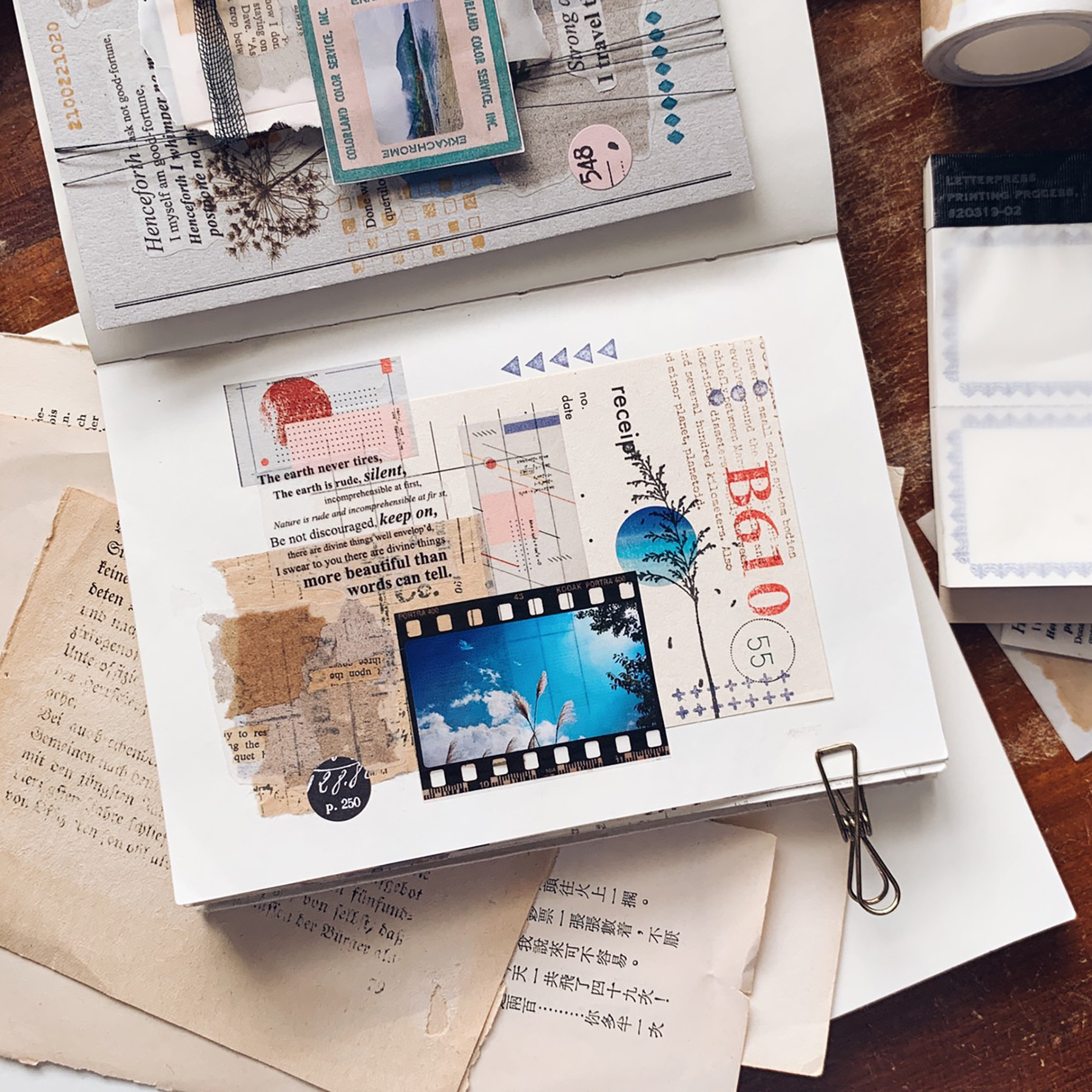 timeflies_splendid5.jpg timeflies_splendid5.jpg