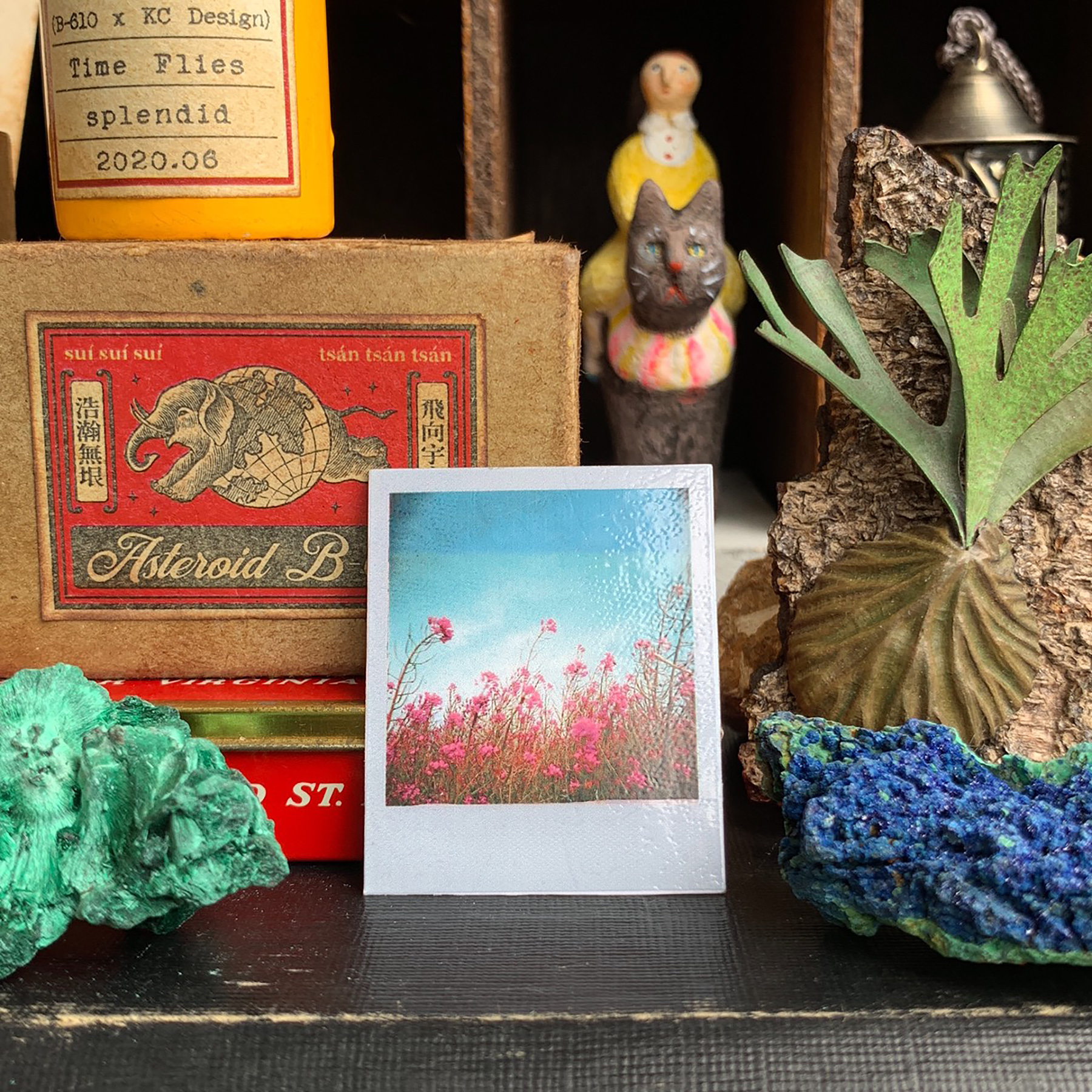 timeflies_glorious4.jpg timeflies_glorious4.jpg