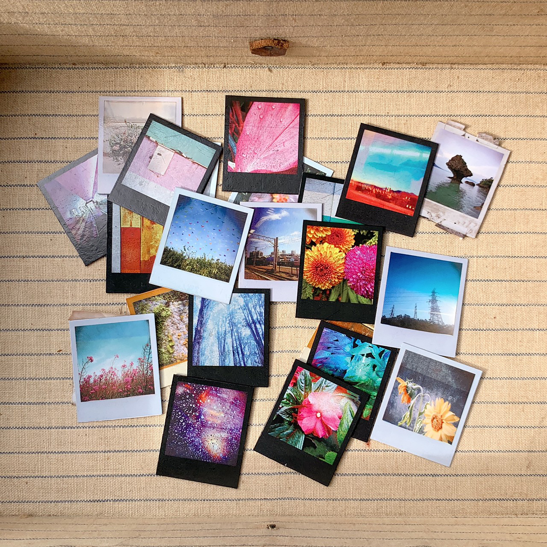 timeflies_glorious2.jpg timeflies_glorious2.jpg