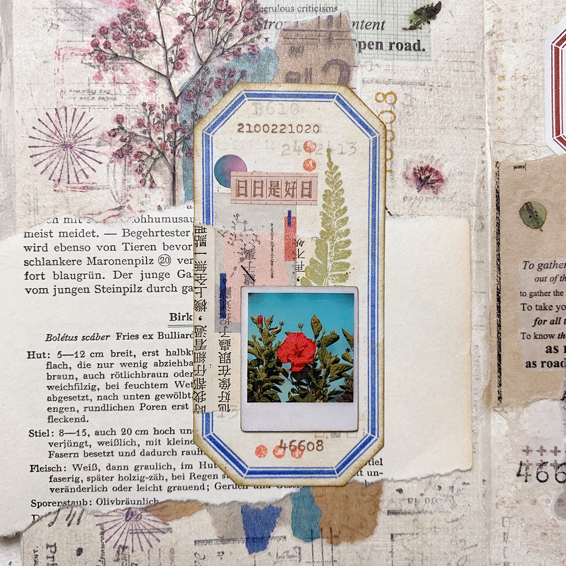 timeflies_glorious5.jpg timeflies_glorious5.jpg