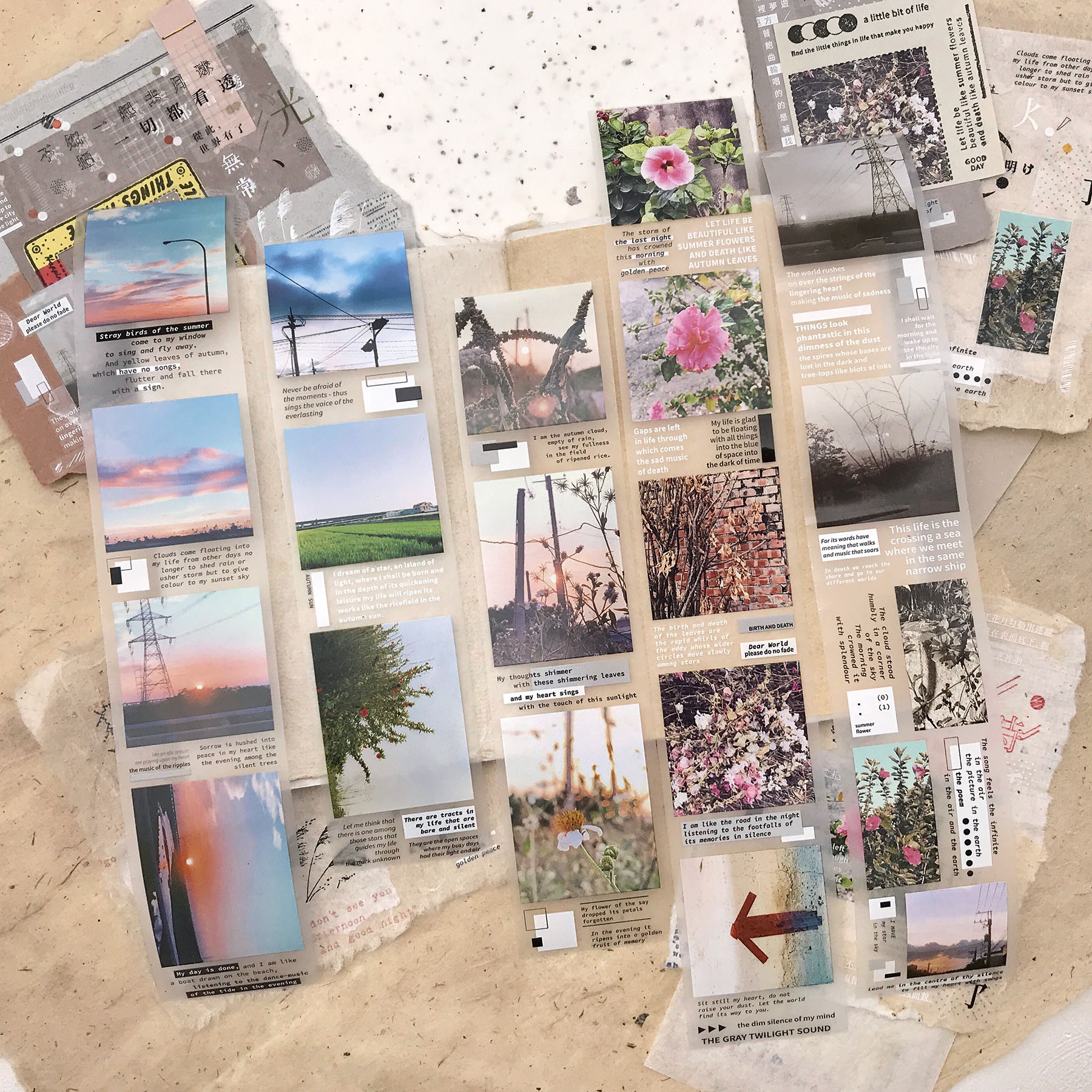 4_straybirds_matte.jpg 4_straybirds_matte.jpg