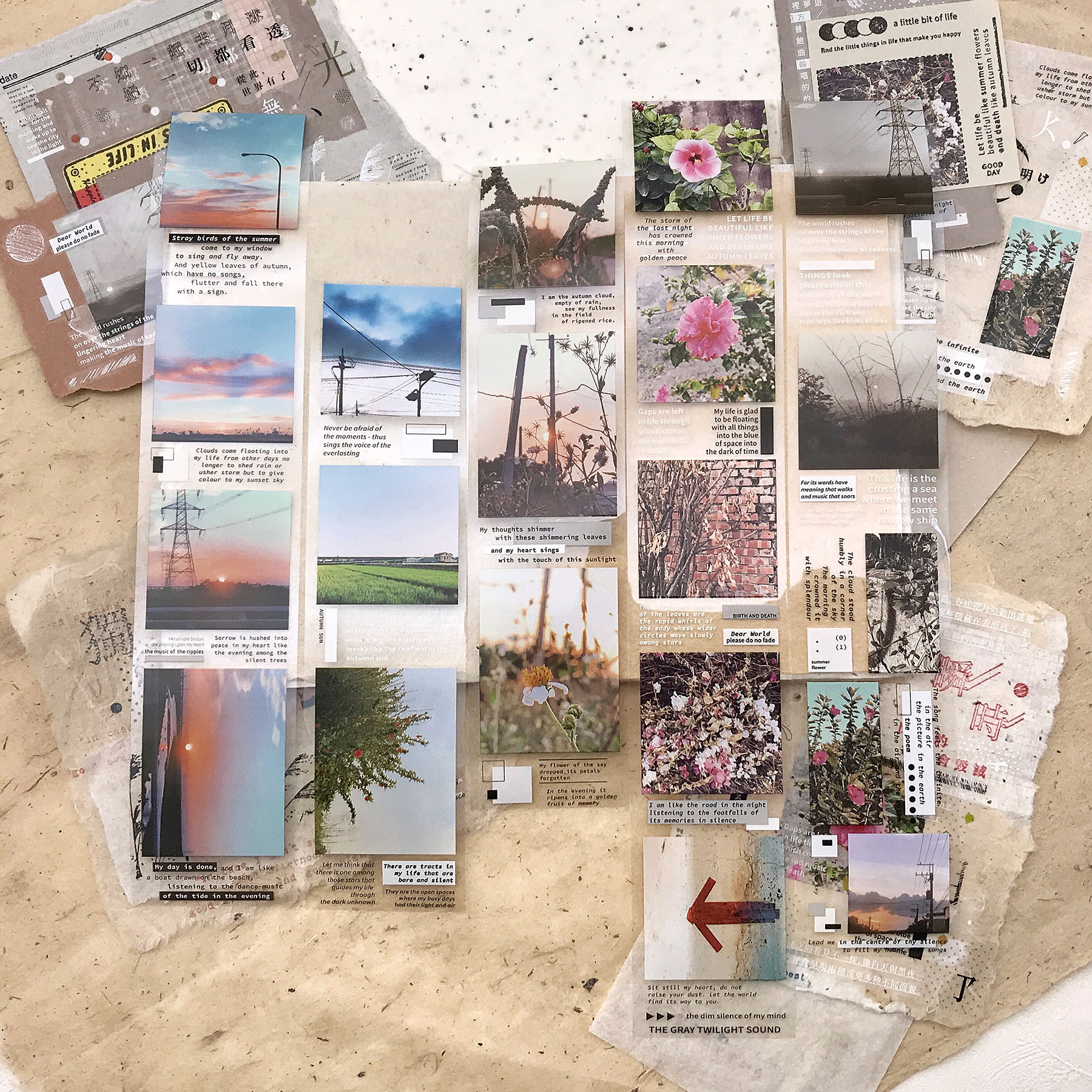 4_straybirds_glossy.jpg 4_straybirds_glossy.jpg