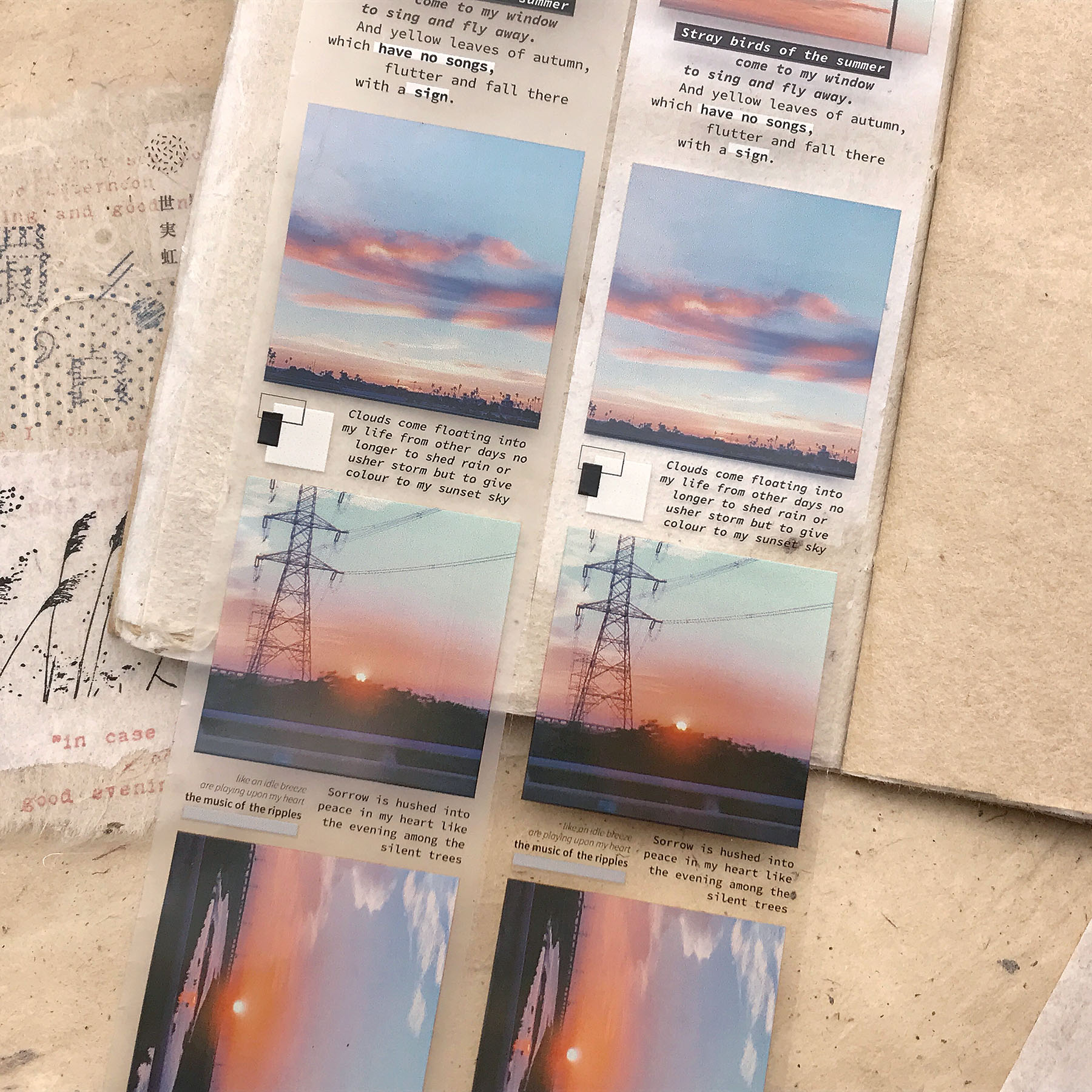 4_straybirds_compare_1.jpg 4_straybirds_compare_1.jpg