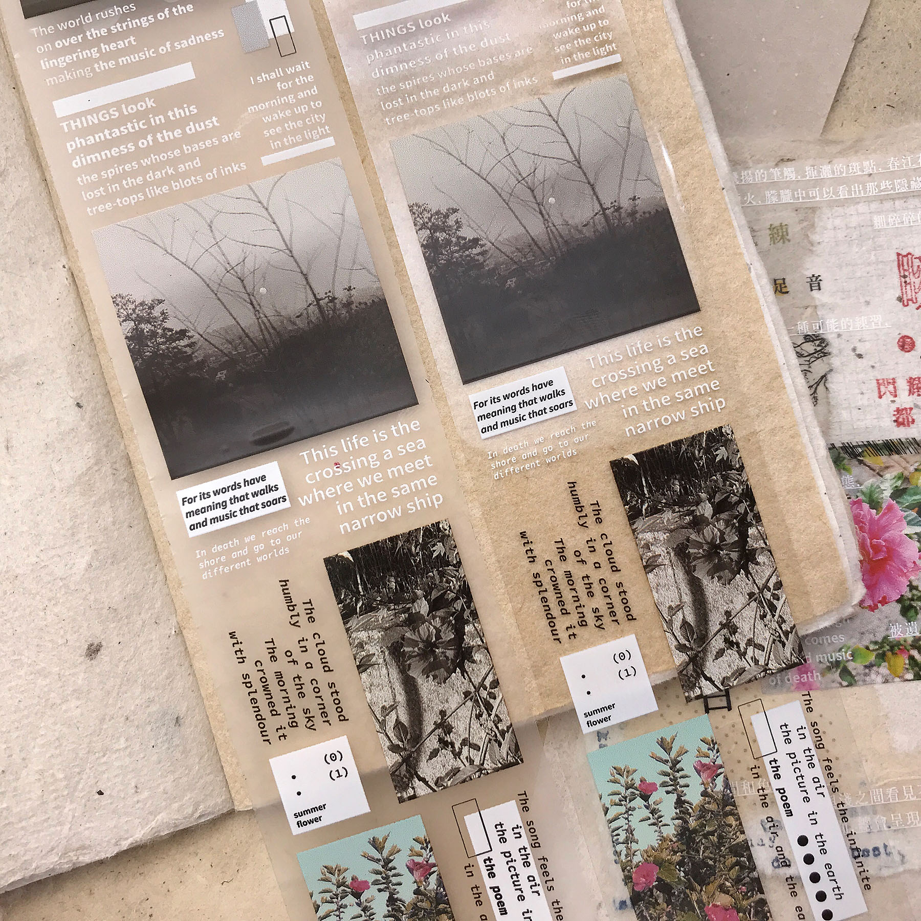 4_straybirds_compare_2.jpg 4_straybirds_compare_2.jpg