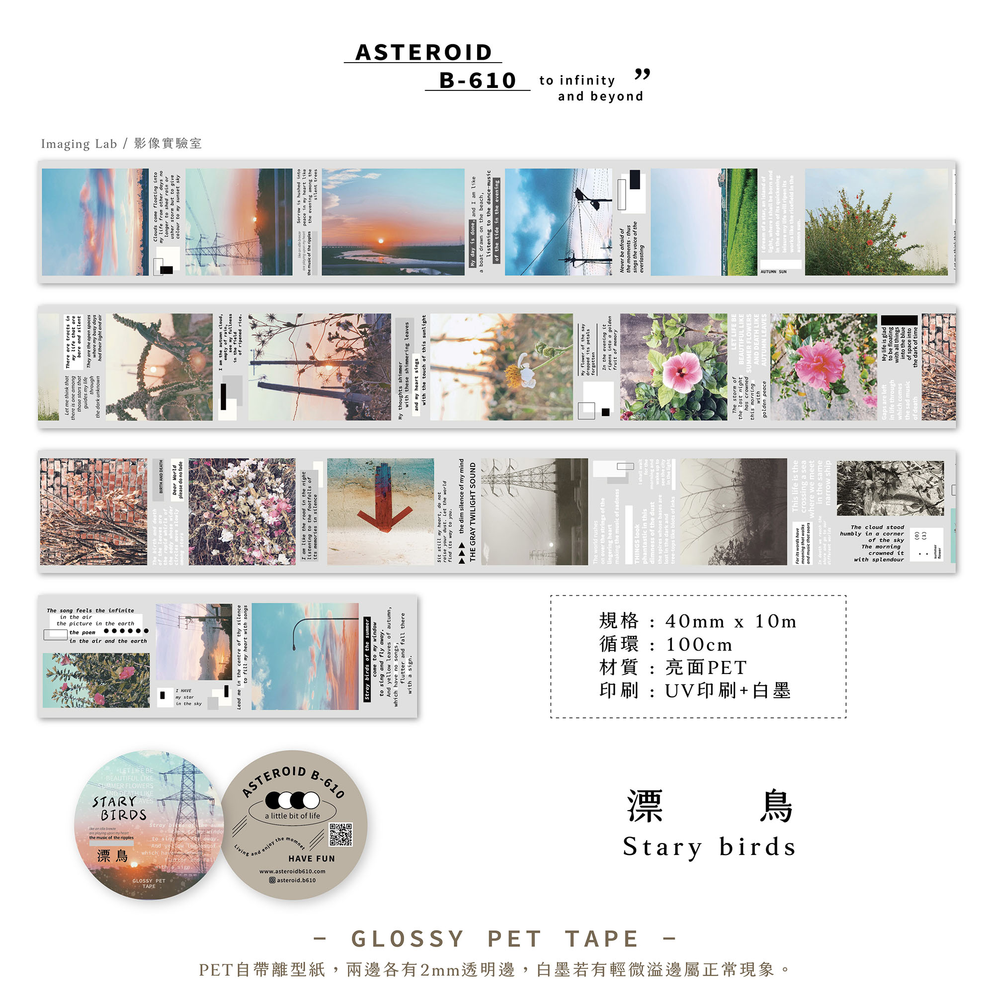 42_starybirds_glossyPET_pre.jpg 42_starybirds_glossyPET_pre.jpg