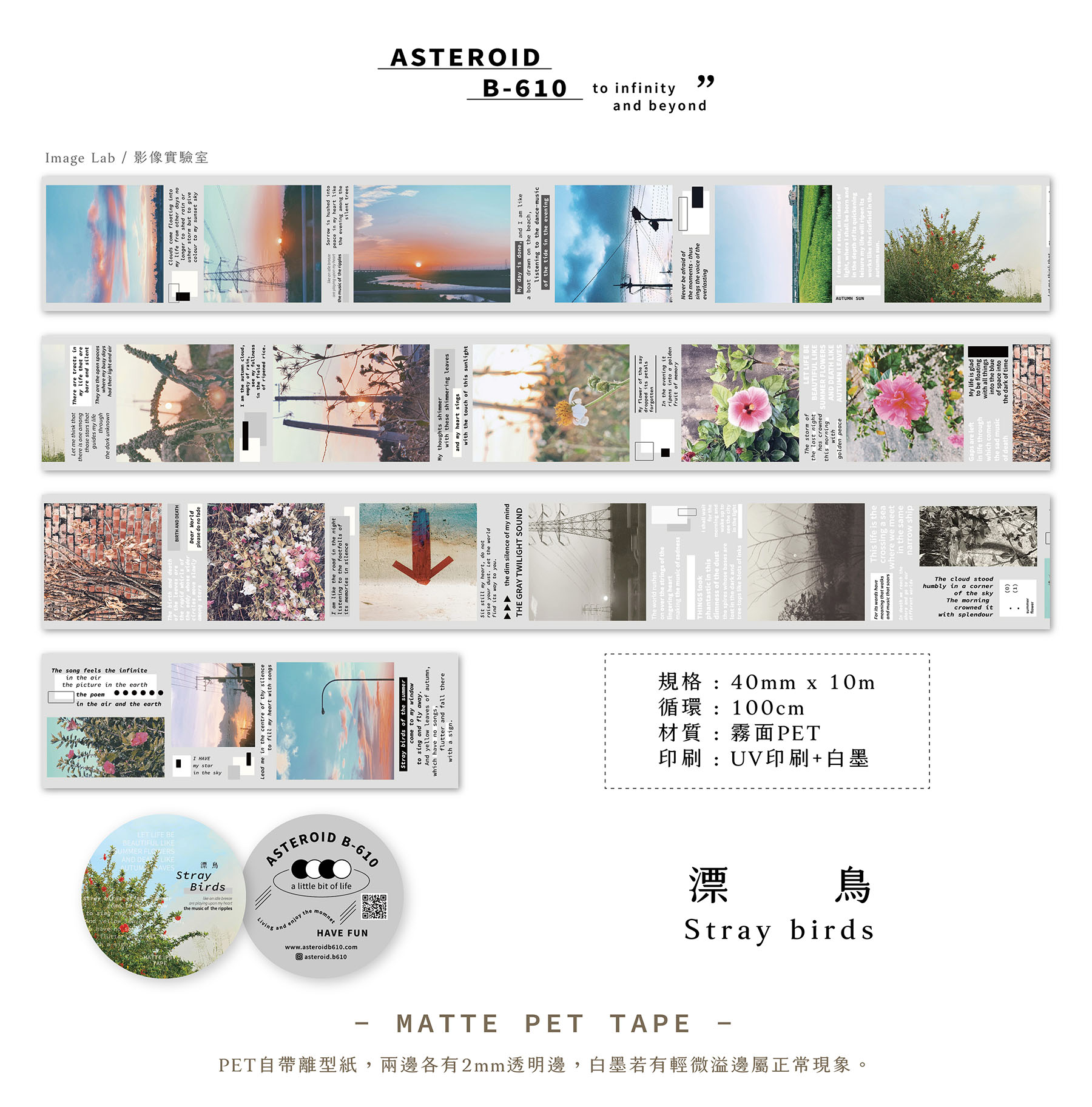 straybirds-matte-1.jpg straybirds-matte-1.jpg