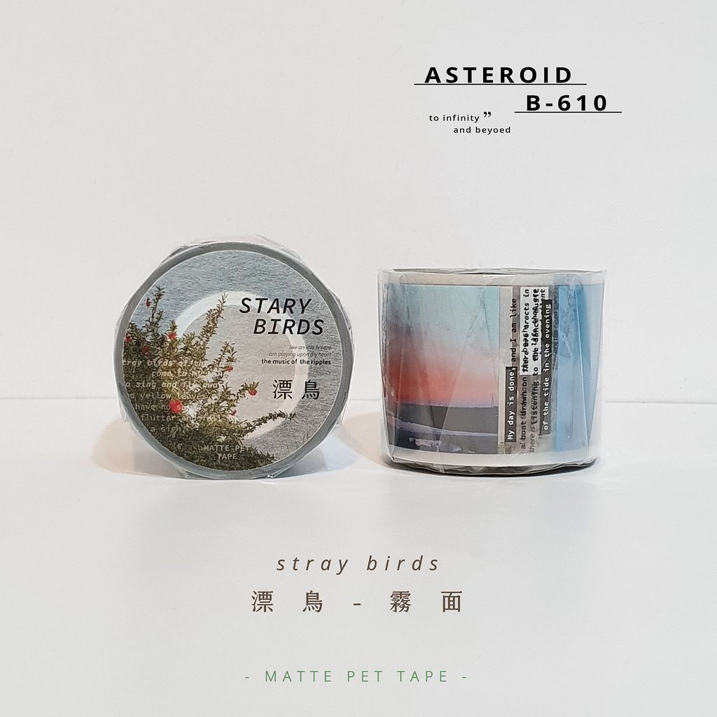 11_straybirds_matte.jpg
