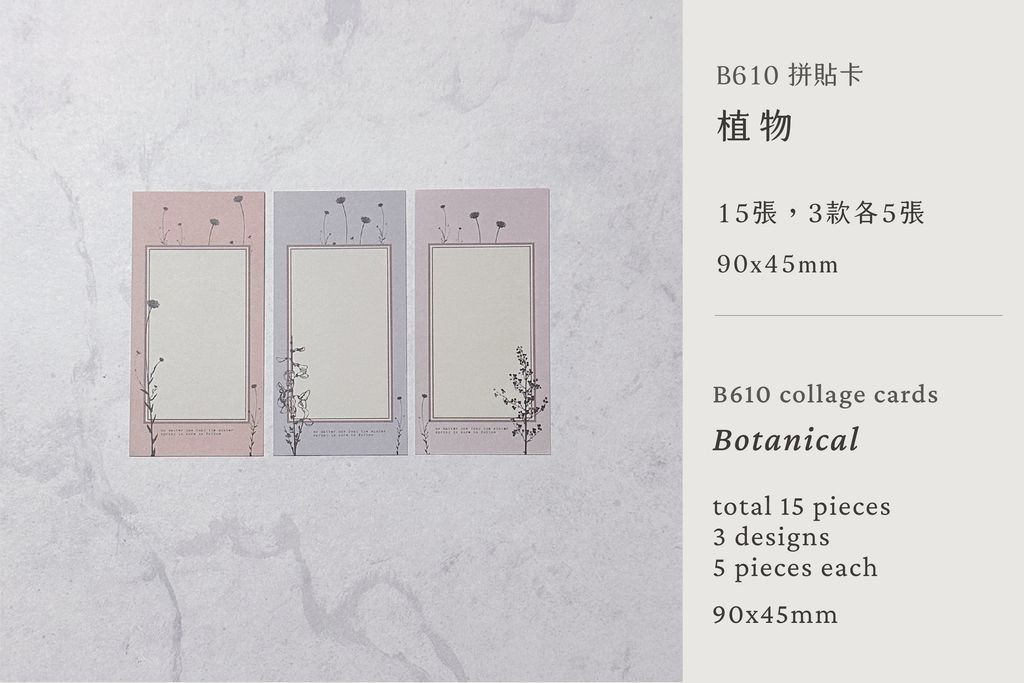 B610P02_card_1