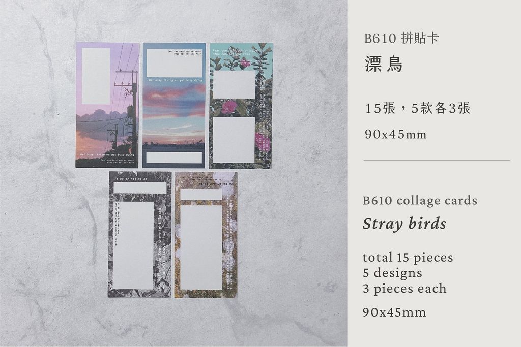 B610P06_card_10