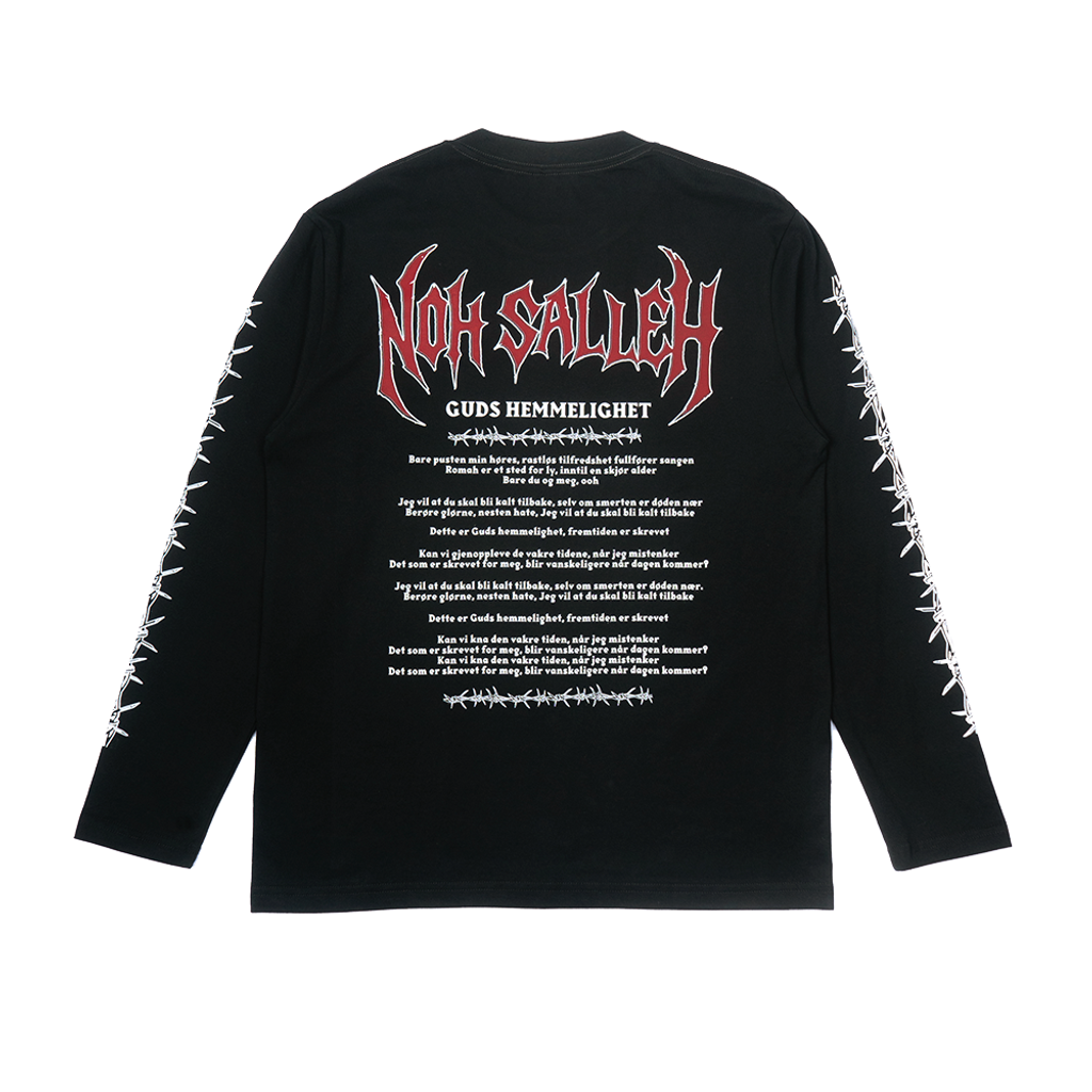 Hemmelighet paint back