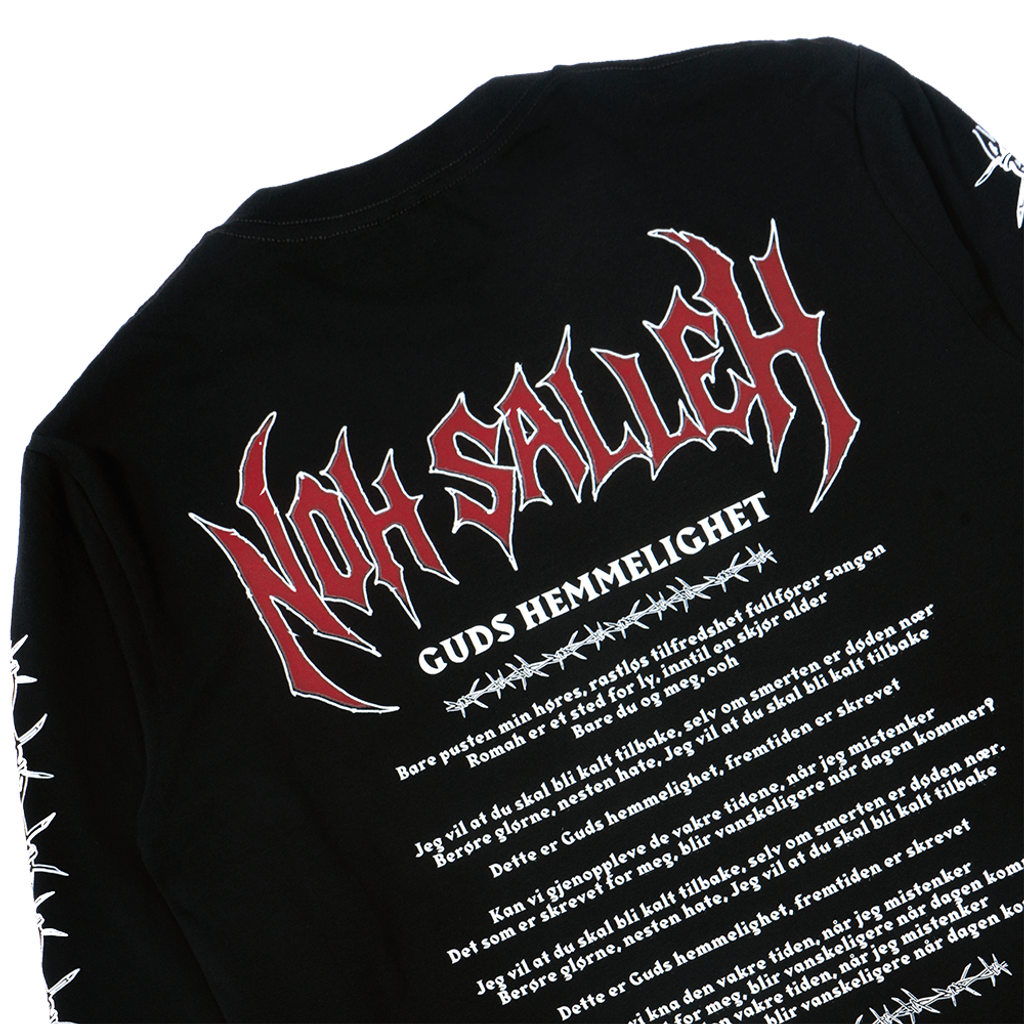 Hemmelighet paint back detail