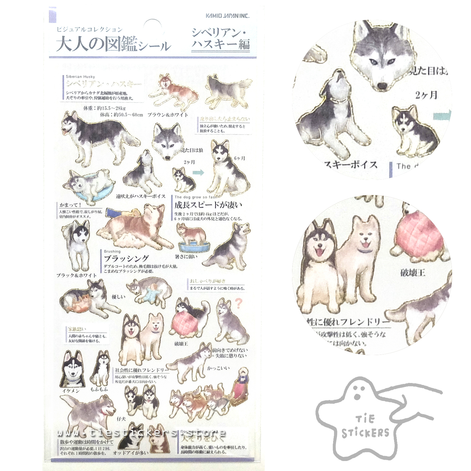 沙巴星洲日報- 哈士奇掉水沟被救起❤️ 一只成年的哈士奇不小心跌落1.5公尺深的水沟里，在热心民众拨打999紧急求助下，获得亚庇民防部队到场救起。  这宗救狗事件是于今早约8时30分，在本都善Forest Hill公寓一带发生。 | Facebook, image size:1500x1500