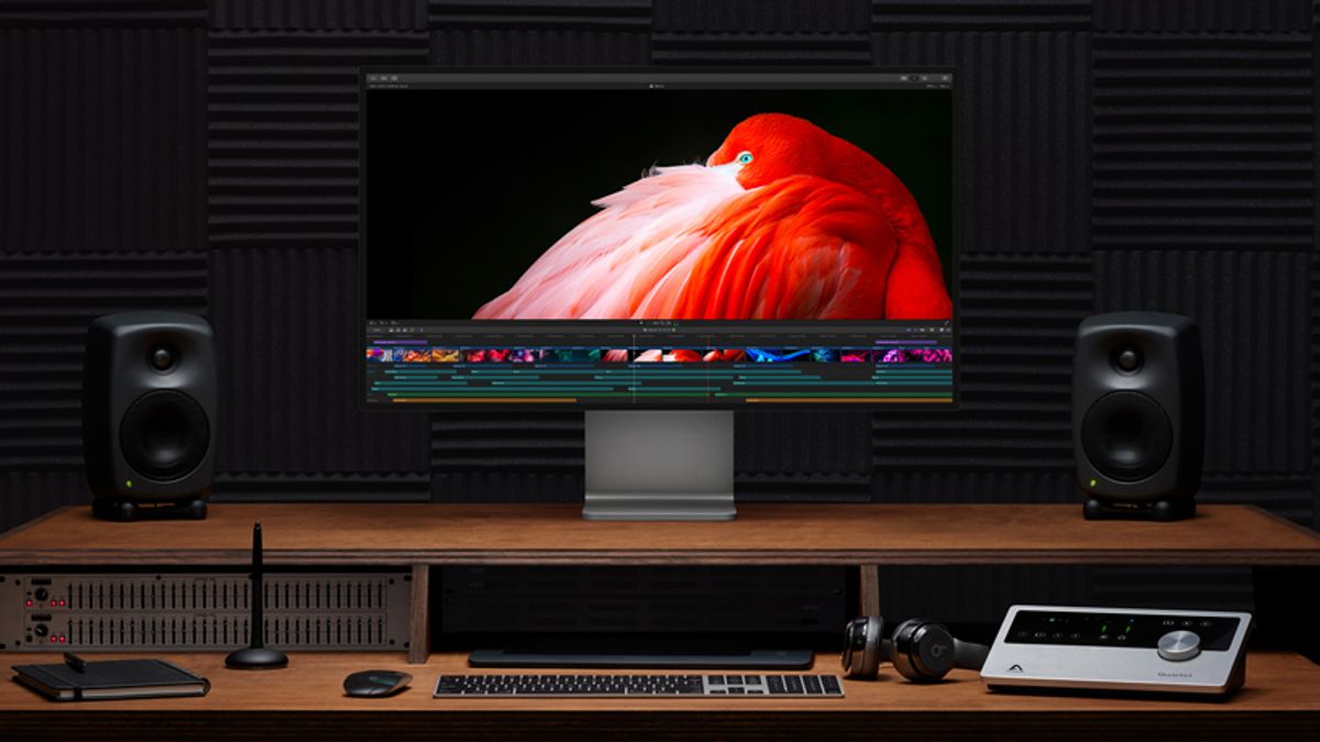 Pro Apps Developers React To The New Mac Pro and Pro Display XDR