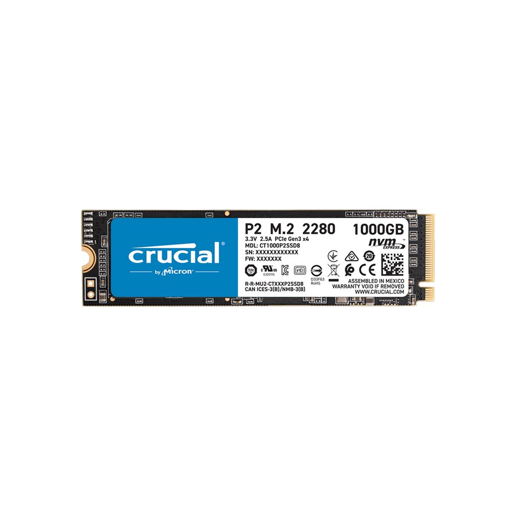 P2SSD8 - 1000GB