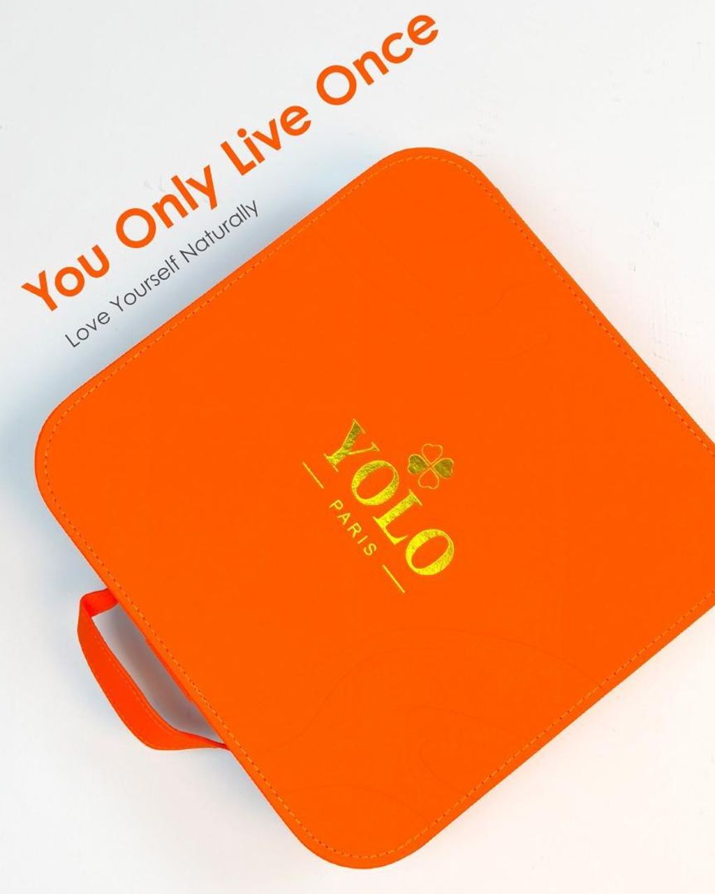 Yolo_1