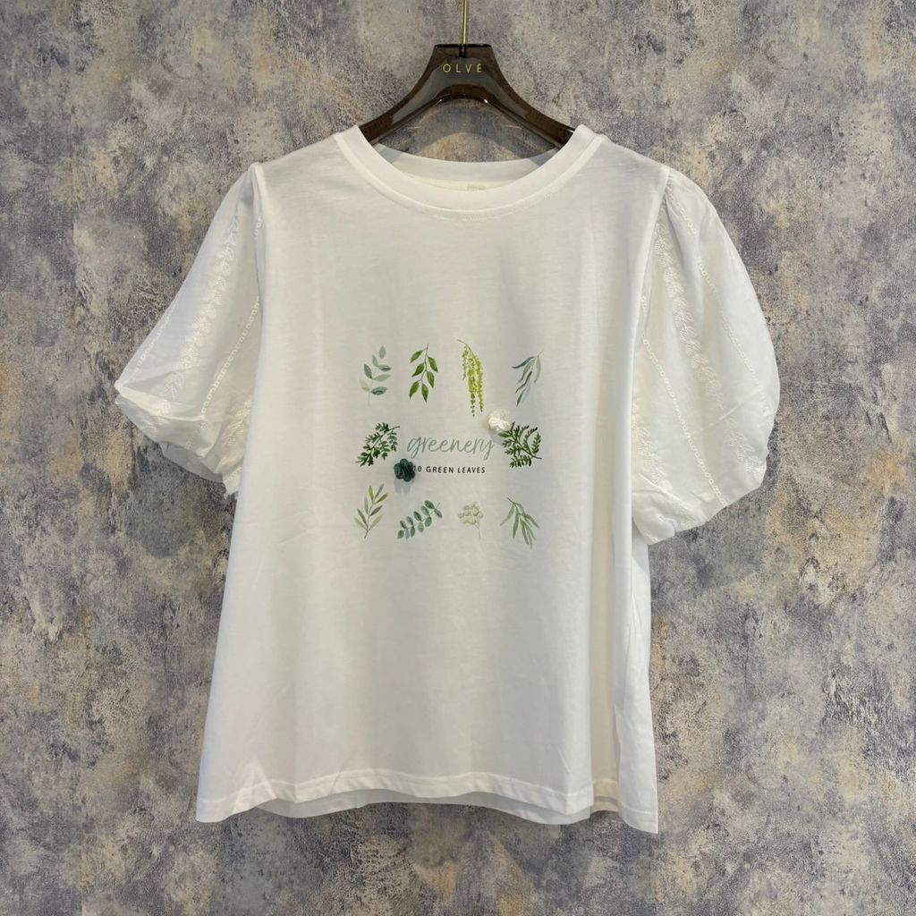 WhatsApp Image 2026-01-16 at 5.31.27 PM (1)