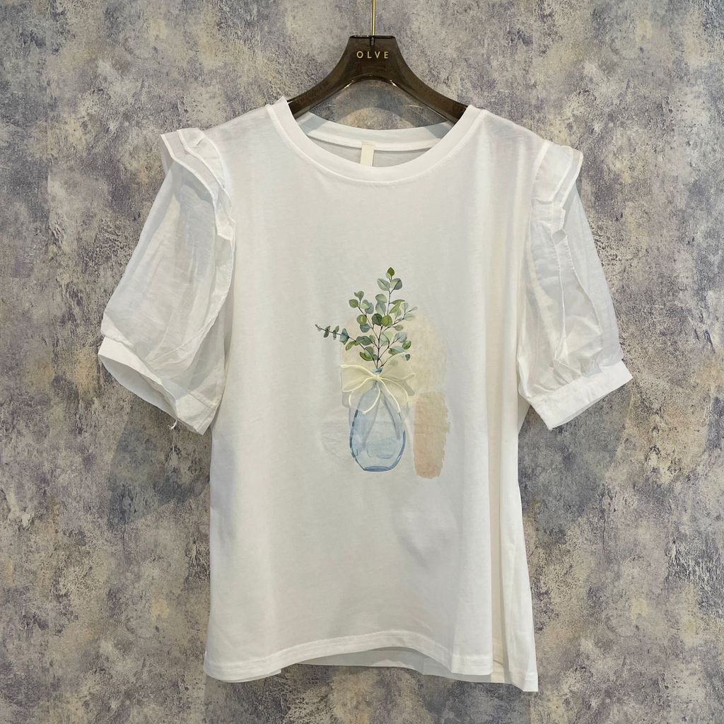 WhatsApp Image 2026-01-17 at 11.18.51