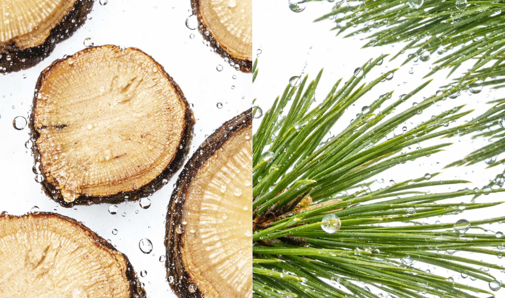 Blog文章用圖 (1504 x 100 像素) (12)