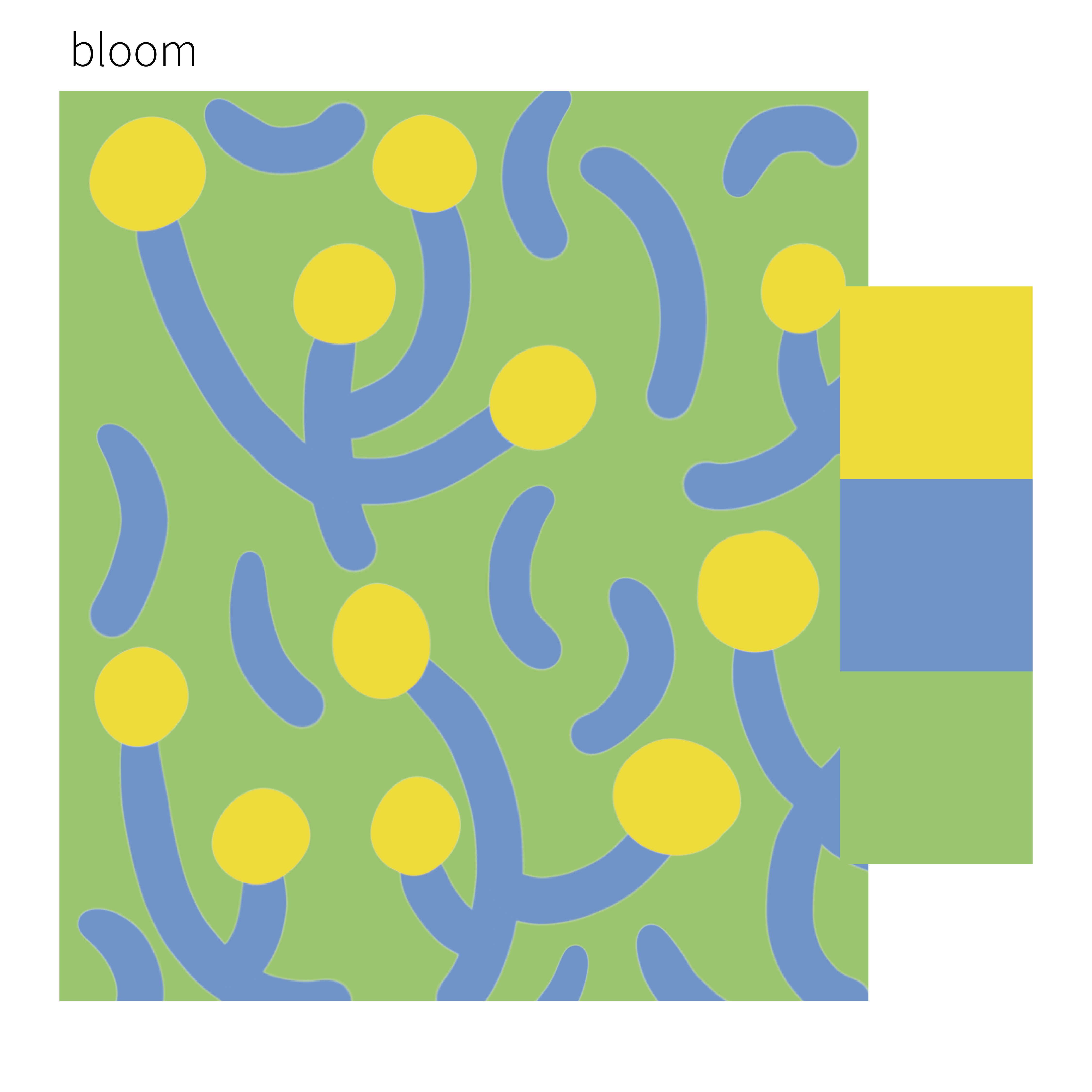 bloom